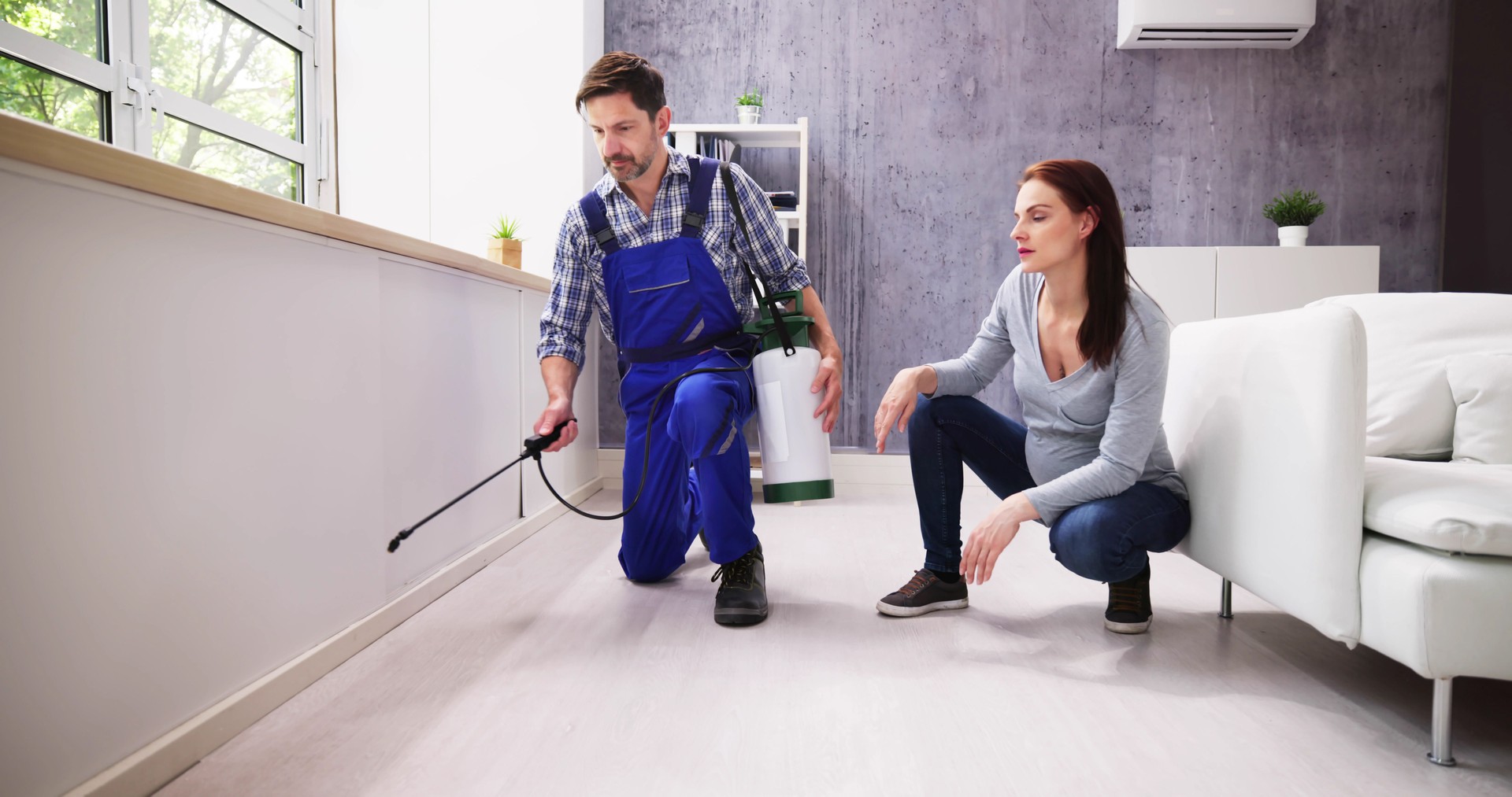 Exterminator Worker Spraying Insecticide Chemical